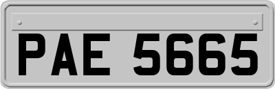 PAE5665