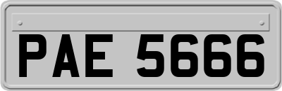 PAE5666