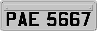 PAE5667