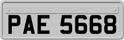 PAE5668