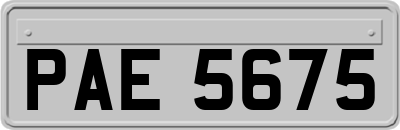 PAE5675
