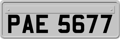 PAE5677