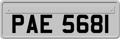 PAE5681