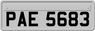 PAE5683