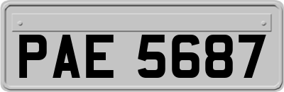 PAE5687