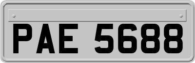 PAE5688