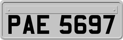 PAE5697