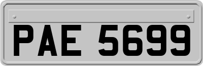 PAE5699