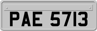 PAE5713