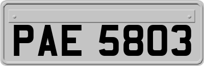 PAE5803