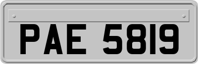 PAE5819