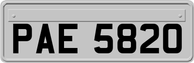 PAE5820
