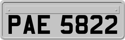 PAE5822