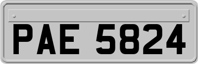 PAE5824
