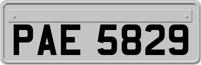 PAE5829
