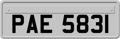PAE5831