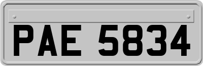 PAE5834