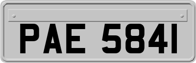 PAE5841