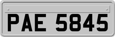 PAE5845