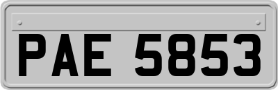 PAE5853