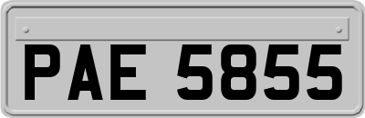 PAE5855