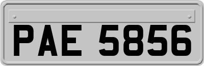 PAE5856