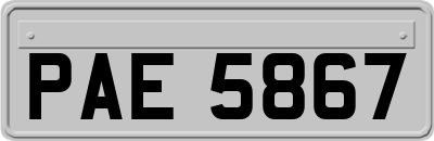 PAE5867