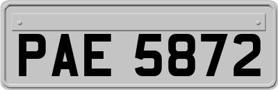 PAE5872