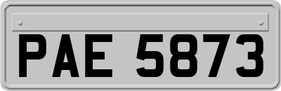 PAE5873