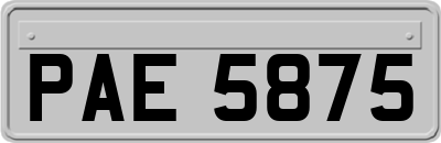PAE5875