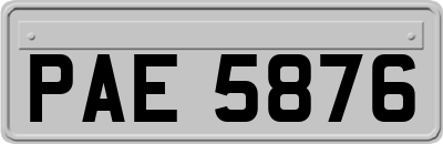 PAE5876