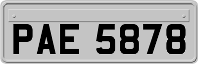 PAE5878