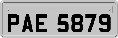 PAE5879