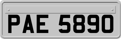 PAE5890