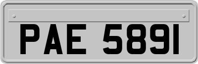 PAE5891