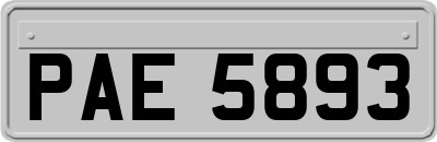 PAE5893