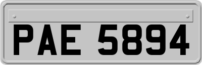 PAE5894