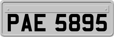 PAE5895