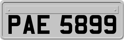 PAE5899