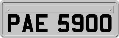 PAE5900