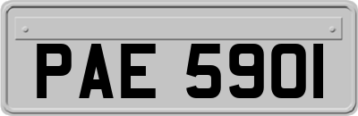 PAE5901