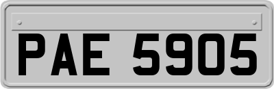 PAE5905