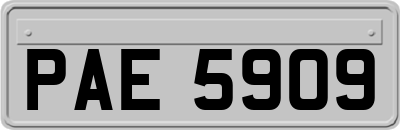 PAE5909