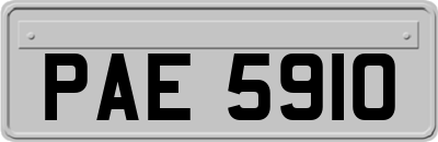 PAE5910