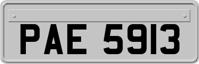 PAE5913