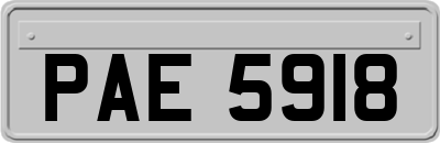 PAE5918