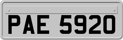 PAE5920