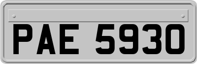 PAE5930