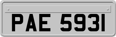 PAE5931