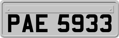 PAE5933